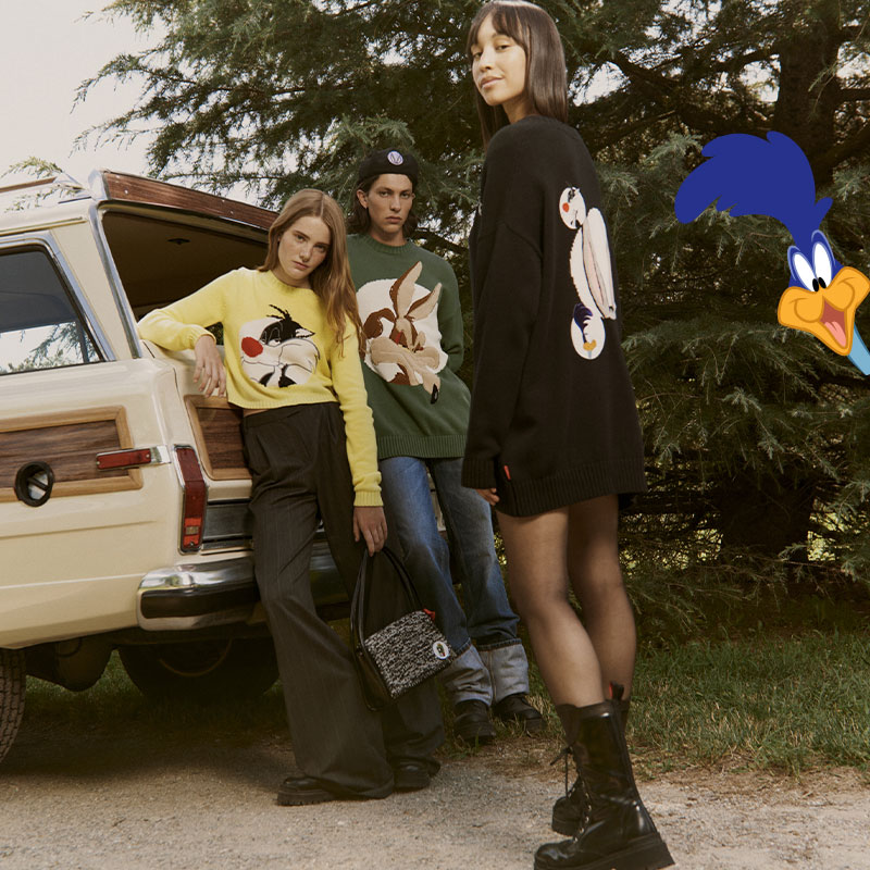 4 COVER LOONEY TUNES DESKTOP MAX&Co.