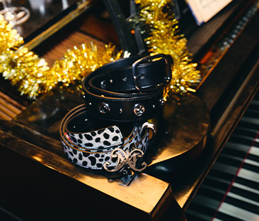 Dazzling Accessories